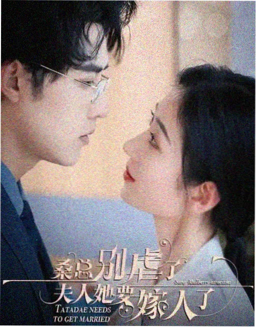 雾港档案剧集封面