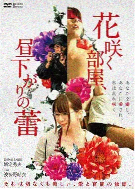 第三种回声电影封面